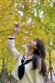楚留香